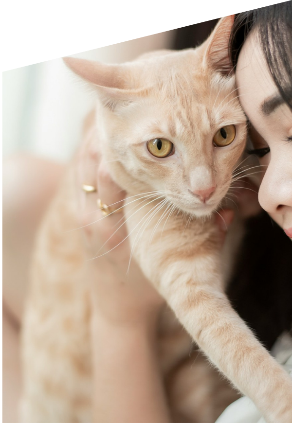 a woman holds a cat close to her face