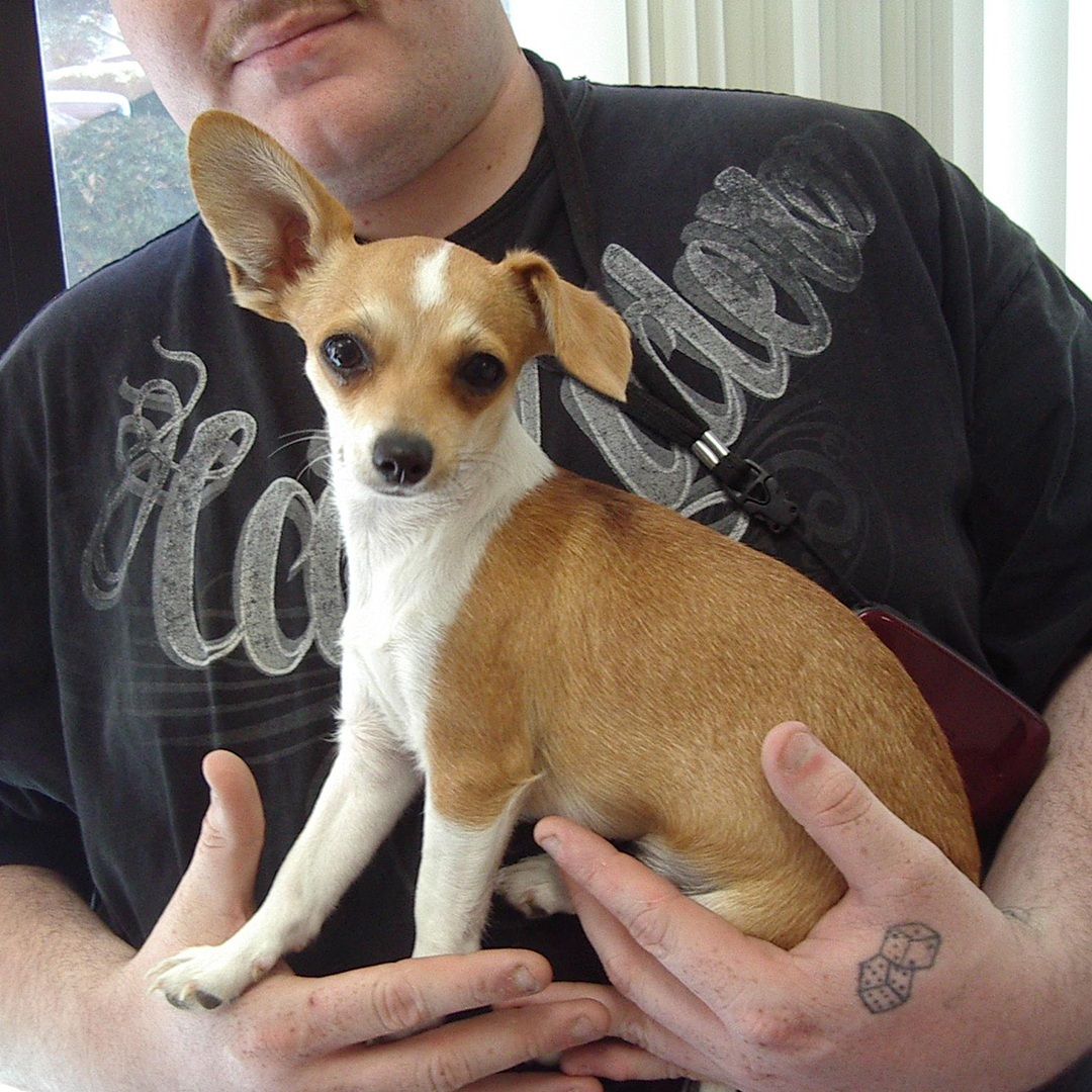 a man gently cradles a small dog in his arms